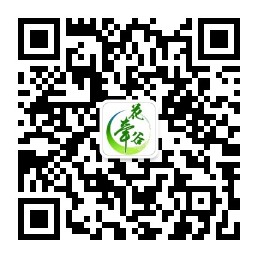 国家AAA级旅游景区